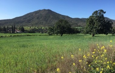 Stavrovouni north Stavrovouni north